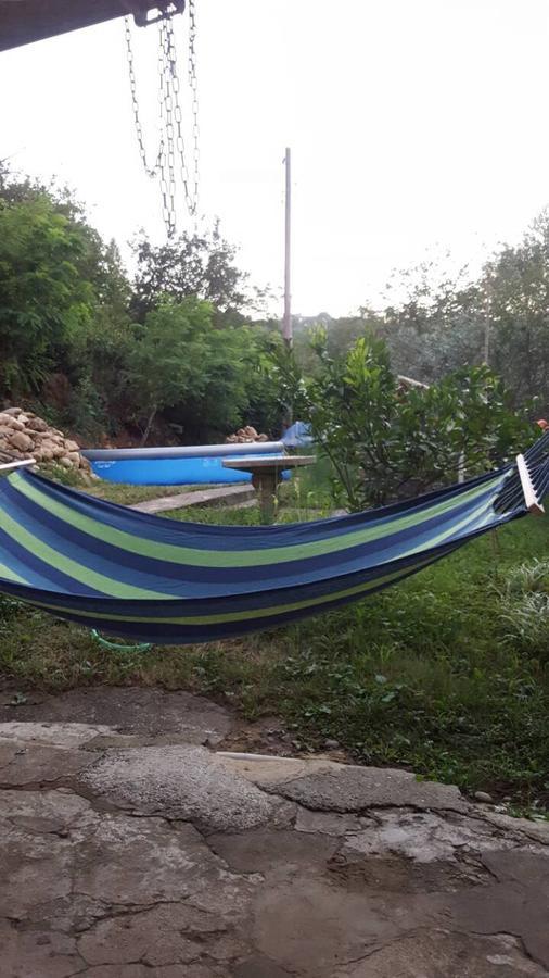 Mero House Κουτάισι Εξωτερικό φωτογραφία