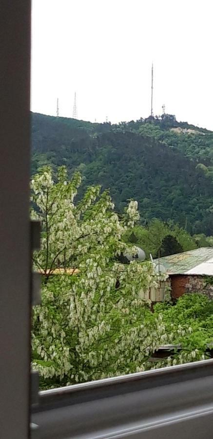 Mero House Κουτάισι Εξωτερικό φωτογραφία